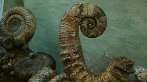 hera-kazan-fossiles-1